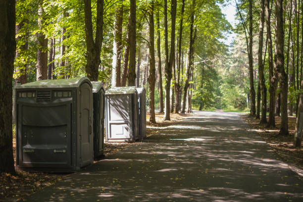 Best Affordable portable toilet rental  in North Braddock, PA